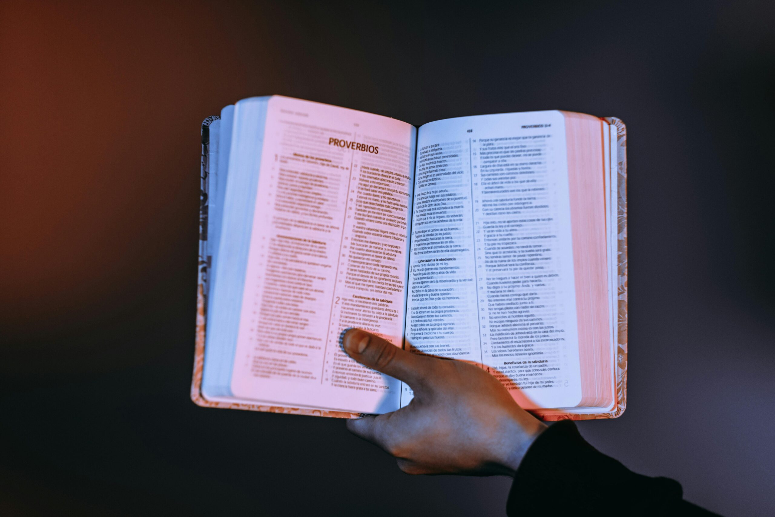 hand holding a bible